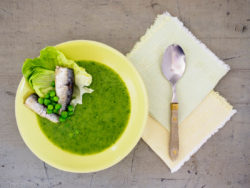 Suppe vom Kopfsalat mit Ölsardinen und Erbsen